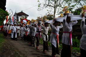 Balinese procession
