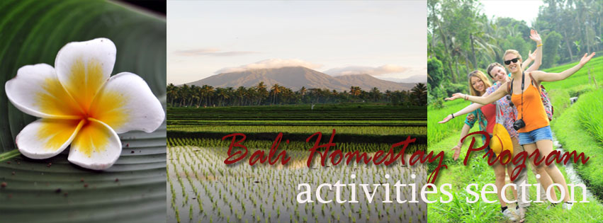 Bali Homestay Activities
