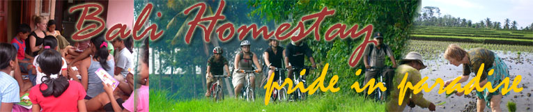 bali homestay