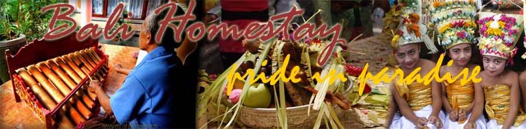 bali homestay