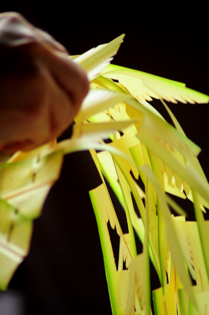 balinese offering