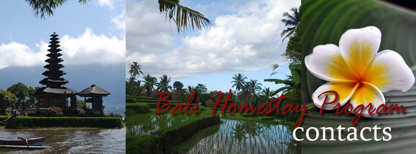Bali Homestay Contacts 