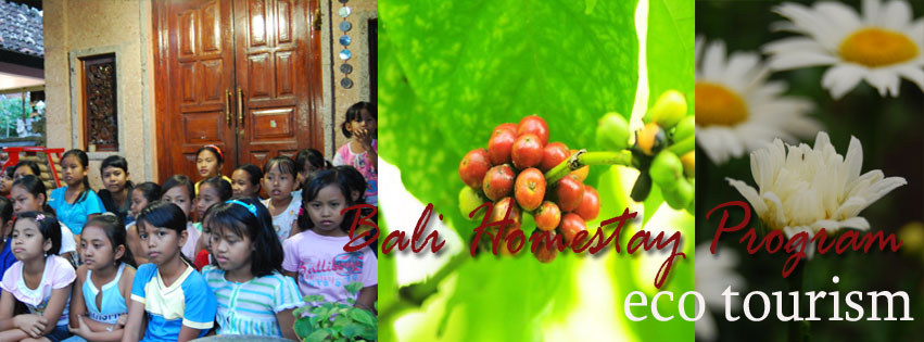 Bali Homestay Activities