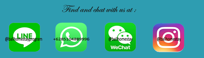 Contact and chat with us