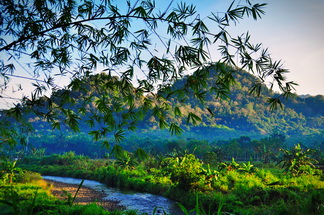 Meru Bertiri National PArk morning view
