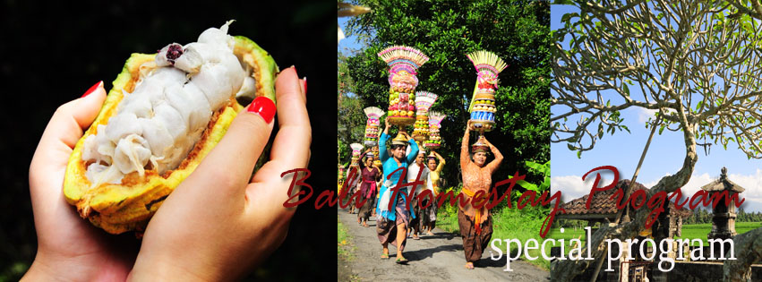 Bali homestay special program
