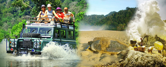 Bali Homestay with visiting Turtle Conservation and trekk Ijen 